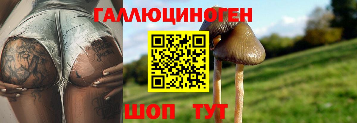 Галлюциногенные грибы мицелий  Вход с VPN  Истра 